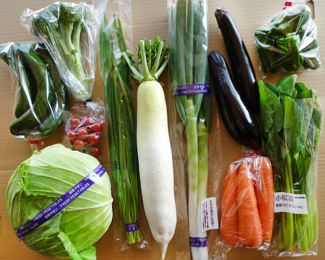 野菜セットの写真
