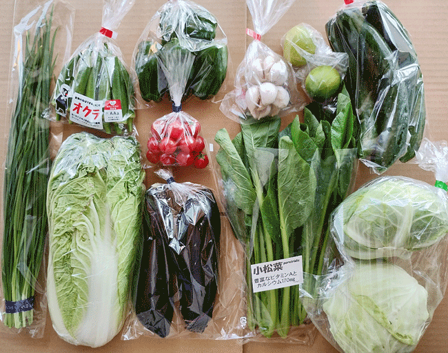 野菜セットの写真