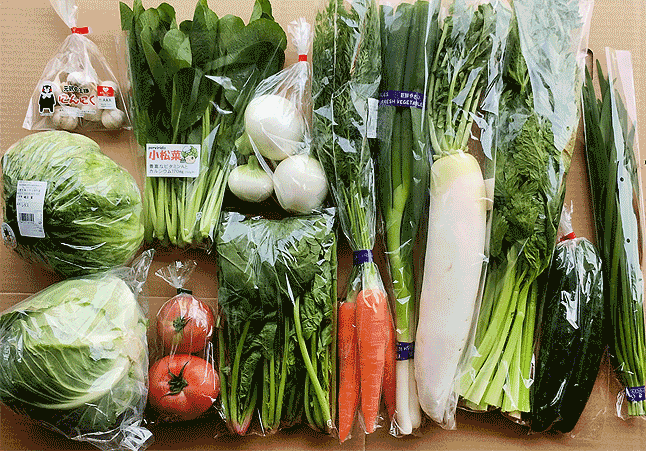 野菜セットの写真