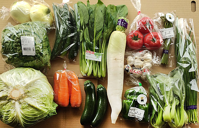 野菜セットの写真