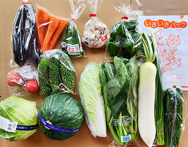 野菜セットの写真