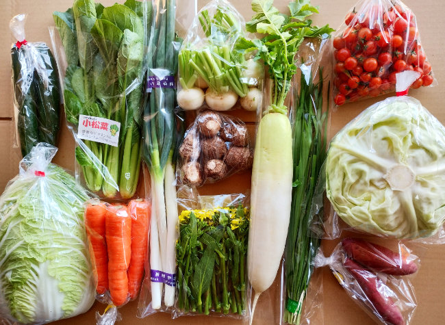 野菜セットの写真